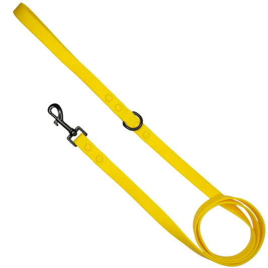 Lemon Leash