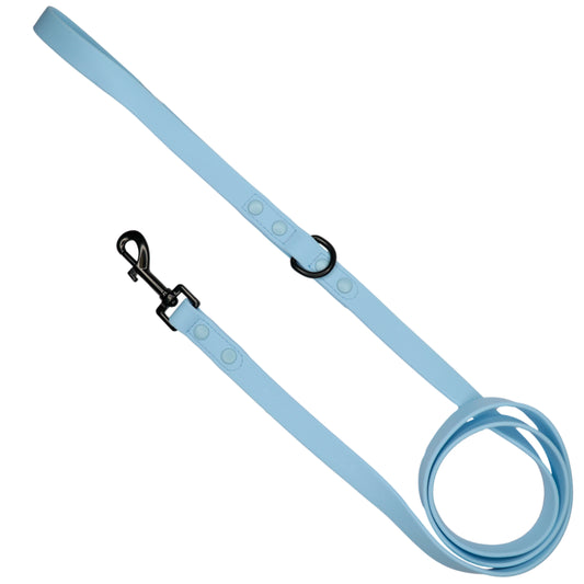 Light Blue Leash