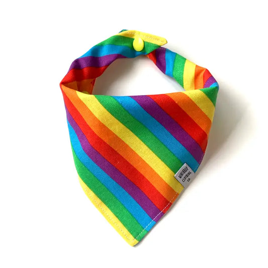 Rainbow Bandana