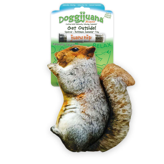 Refillable Catnip Squirrel Dog Toy