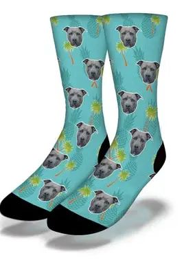 Tropical Pitty Socks